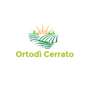 logo-Ortodi